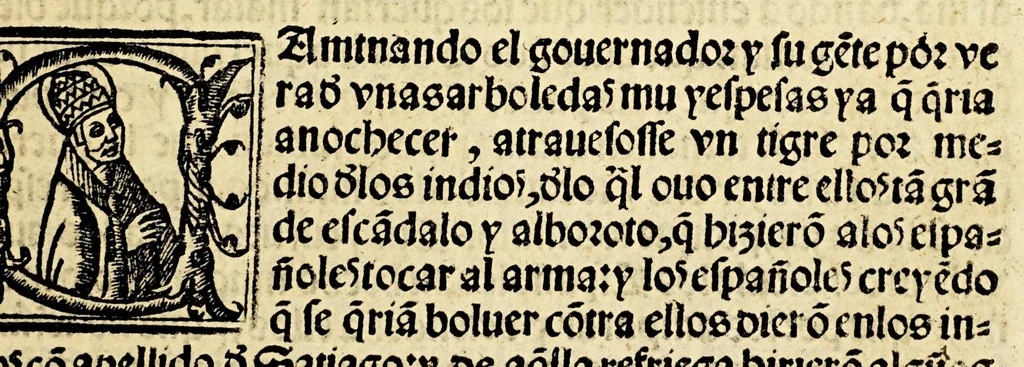 An illustration from La relacion y comentarios del gouernador Aluar Nuñez Cabeça de Vaca, de lo acaescido en las dos jornadas que hizo a las Indias, 1555, leaf 169