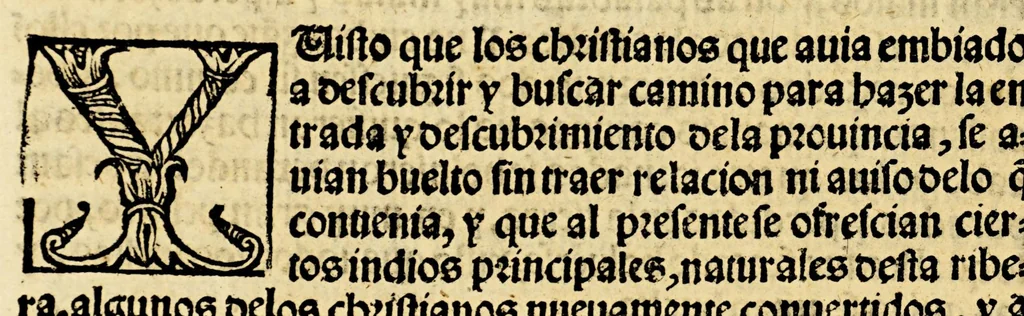 An illustration from La relacion y comentarios del gouernador Aluar Nuñez Cabeça de Vaca, de lo acaescido en las dos jornadas que hizo a las Indias, 1555, leaf 190