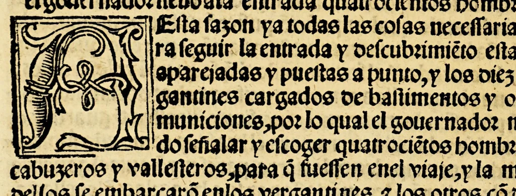 An illustration from La relacion y comentarios del gouernador Aluar Nuñez Cabeça de Vaca, de lo acaescido en las dos jornadas que hizo a las Indias, 1555, leaf 204
