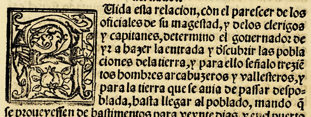 An illustration from La relacion y comentarios del gouernador Aluar Nuñez Cabeça de Vaca, de lo acaescido en las dos jornadas que hizo a las Indias, 1555, leaf 242
