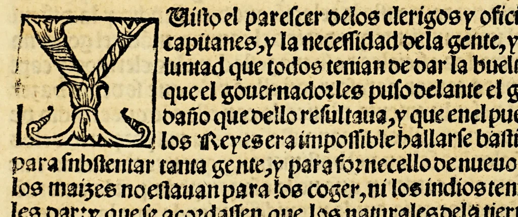 An illustration from La relacion y comentarios del gouernador Aluar Nuñez Cabeça de Vaca, de lo acaescido en las dos jornadas que hizo a las Indias, 1555, leaf 248