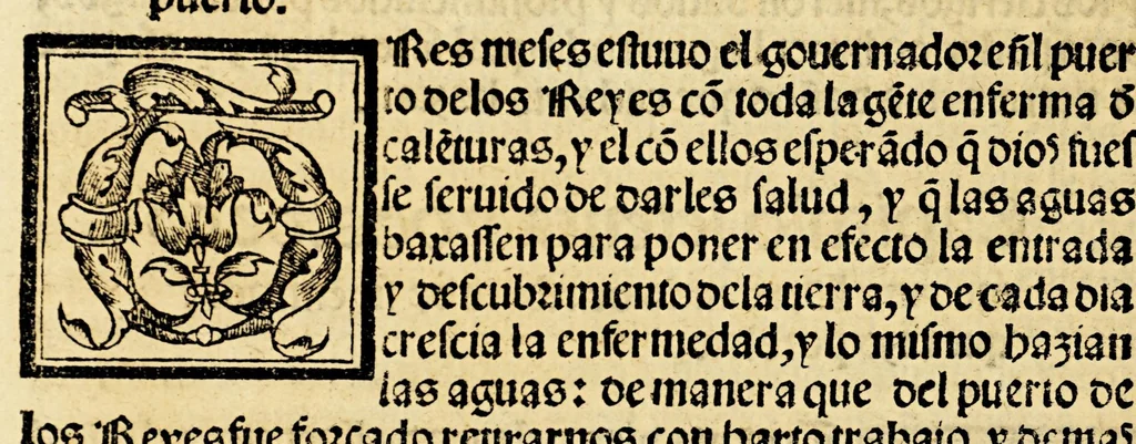 An illustration from La relacion y comentarios del gouernador Aluar Nuñez Cabeça de Vaca, de lo acaescido en las dos jornadas que hizo a las Indias, 1555, leaf 264