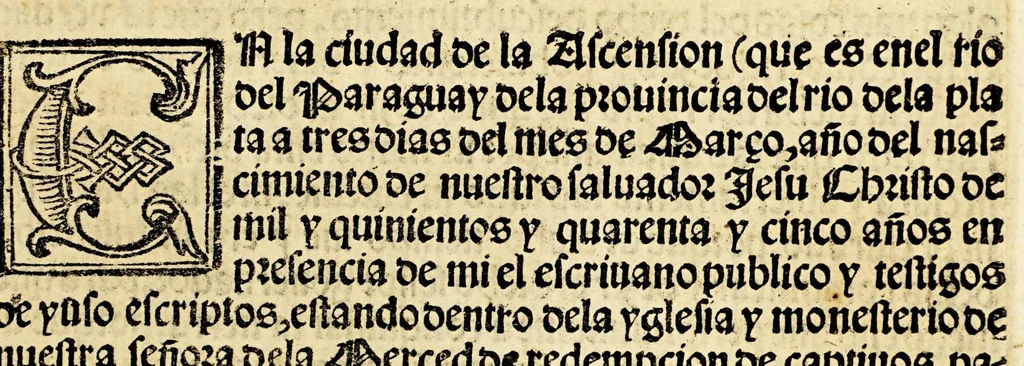 An illustration from La relacion y comentarios del gouernador Aluar Nuñez Cabeça de Vaca, de lo acaescido en las dos jornadas que hizo a las Indias, 1555, leaf 287