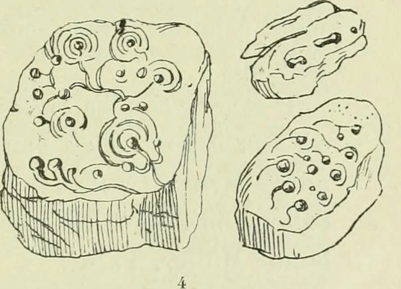 An illustration from La religion des Gaulois; les Druides et la druidisme;, 1897, leaf 105
