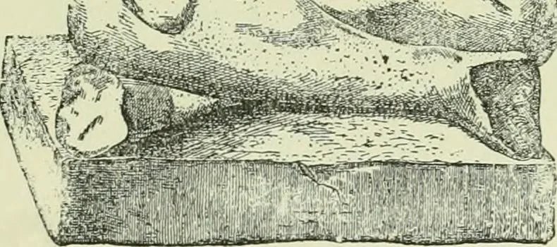 An illustration from La religion des Gaulois; les Druides et la druidisme;, 1897, leaf 177