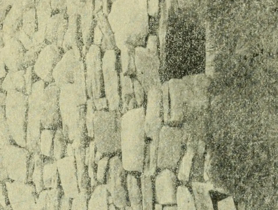 An illustration from La religion des Gaulois; les Druides et la druidisme;, 1897, leaf 63