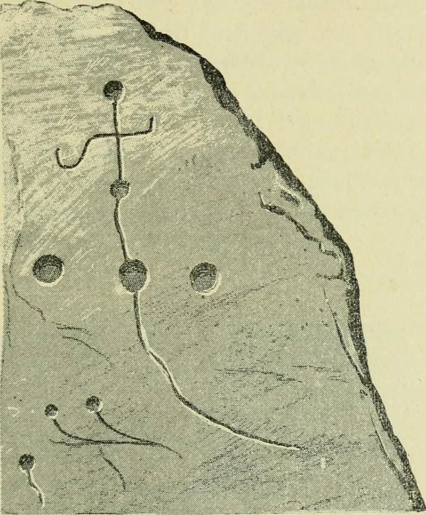 An illustration from La religion des Gaulois; les Druides et la druidisme;, 1897, leaf 89
