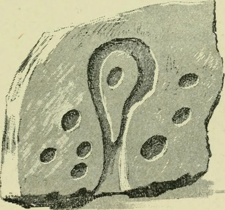 An illustration from La religion des Gaulois; les Druides et la druidisme;, 1897, leaf 89