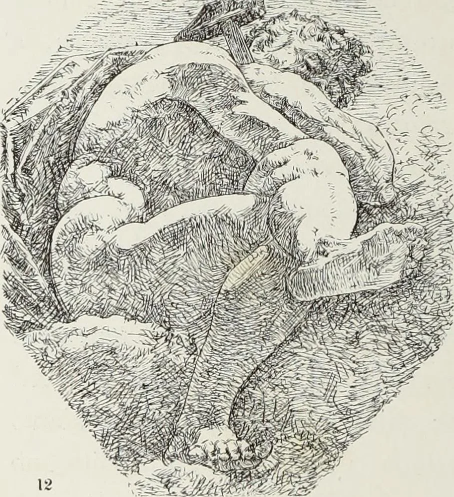 An illustration from La R. Galleria Estense in Modena, 1882, leaf 45