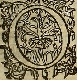 An illustration from A large declaration concerning the late tumults in Scotland, from their first originalls : together with a particular deduction of the seditious practices of the prime leaders of the Covenanters, 1639, leaf 298