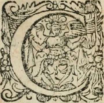 An illustration from L'arithmétique de Jean Trenchant, departie en trois liures. Ensemble vn petit discours des changes, auec l'art de calculer aux getons, 1602, leaf 126