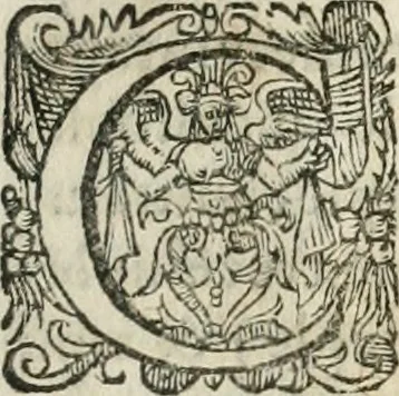 An illustration from L'arithmétique de Jean Trenchant, departie en trois liures. Ensemble vn petit discours des changes, auec l'art de calculer aux getons, 1602, leaf 226