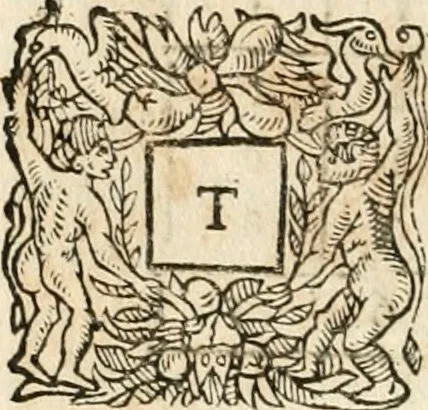 An illustration from L'arithmétique de Jean Trenchant, departie en trois liures. Ensemble vn petit discours des changes, auec l'art de calculer aux getons, 1602, leaf 345