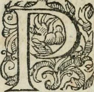 An illustration from L'arithmétique de Jean Trenchant, departie en trois liures. Ensemble vn petit discours des changes, auec l'art de calculer aux getons, 1602, leaf 368