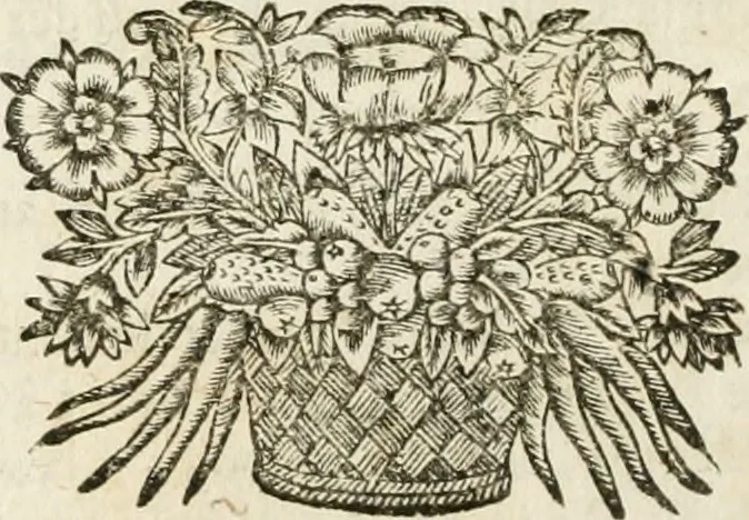 An illustration from L'arithmetique en sa perfection, 1687, leaf 299
