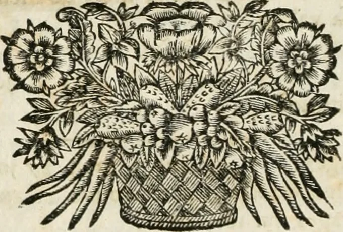 An illustration from L'arithmetique en sa perfection, 1687, leaf 33
