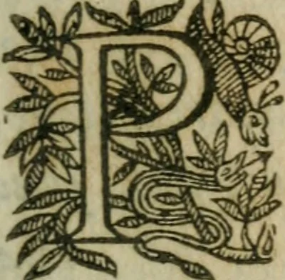 An illustration from L'arithmetiqve. Augm. de nouueau de plusieurs belles regles subtiles & briefues, traictant de diuers trafficqs de marchandises, à chacun d'iceux les regles qui y sont necessaires, outre la reduction des monnoyes, aulnages, & poids. Regles du fin or, d'argent, & alliages de metaux ... Auec plusieurs belles demandes vtiles & necessaires à l'vsage commun. Enrichie d'vne instruction & maniere de trouuer le compte faict du toisage de Lyon, 1630, leaf 16