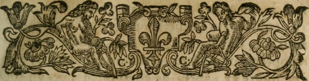 An illustration from L'arithmetiqve. Augm. de nouueau de plusieurs belles regles subtiles & briefues, traictant de diuers trafficqs de marchandises, à chacun d'iceux les regles qui y sont necessaires, outre la reduction des monnoyes, aulnages, & poids. Regles du fin or, d'argent, & alliages de metaux ... Auec plusieurs belles demandes vtiles & necessaires à l'vsage commun. Enrichie d'vne instruction & maniere de trouuer le compte faict du toisage de Lyon, 1630, leaf 20