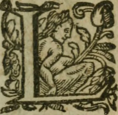 An illustration from L'arithmetiqve. Augm. de nouueau de plusieurs belles regles subtiles & briefues, traictant de diuers trafficqs de marchandises, à chacun d'iceux les regles qui y sont necessaires, outre la reduction des monnoyes, aulnages, & poids. Regles du fin or, d'argent, & alliages de metaux ... Auec plusieurs belles demandes vtiles & necessaires à l'vsage commun. Enrichie d'vne instruction & maniere de trouuer le compte faict du toisage de Lyon, 1630, leaf 20