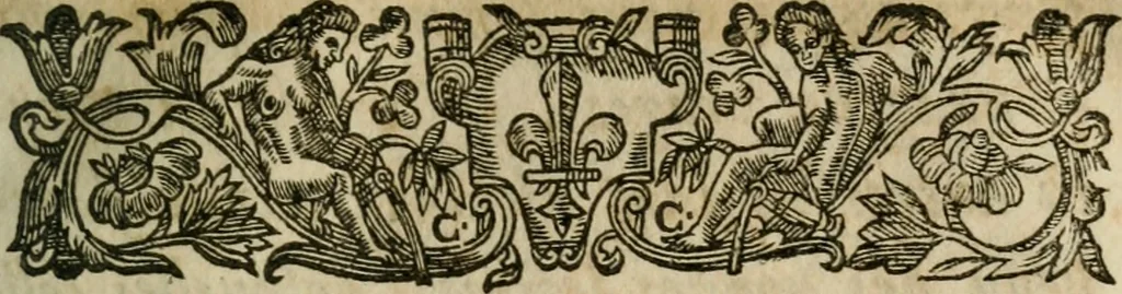 An illustration from L'arithmetiqve. Augm. de nouueau de plusieurs belles regles subtiles & briefues, traictant de diuers trafficqs de marchandises, à chacun d'iceux les regles qui y sont necessaires, outre la reduction des monnoyes, aulnages, & poids. Regles du fin or, d'argent, & alliages de metaux ... Auec plusieurs belles demandes vtiles & necessaires à l'vsage commun. Enrichie d'vne instruction & maniere de trouuer le compte faict du toisage de Lyon, 1630, leaf 6
