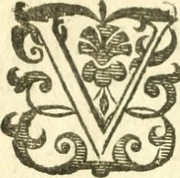 An illustration from L'arithmetiqve de Simon Stevin de Brvges, 1625, leaf 11