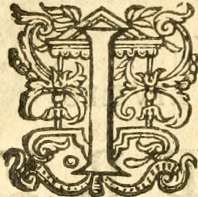 An illustration from L'arithmetiqve de Simon Stevin de Brvges, 1625, leaf 421