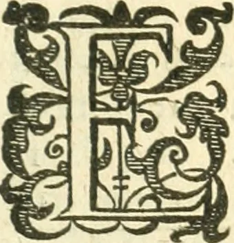 An illustration from L'arithmetiqve de Simon Stevin de Brvges, 1625, leaf 716