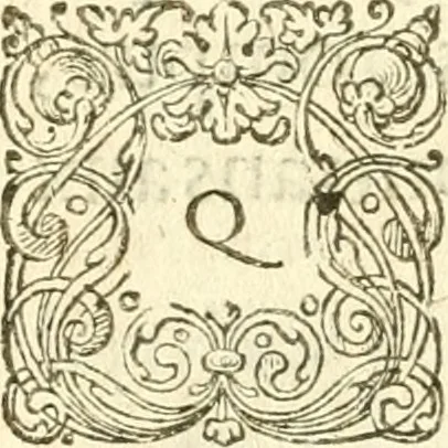 An illustration from L'arithmetiqve de Simon Stevin de Brvges, 1625, leaf 839