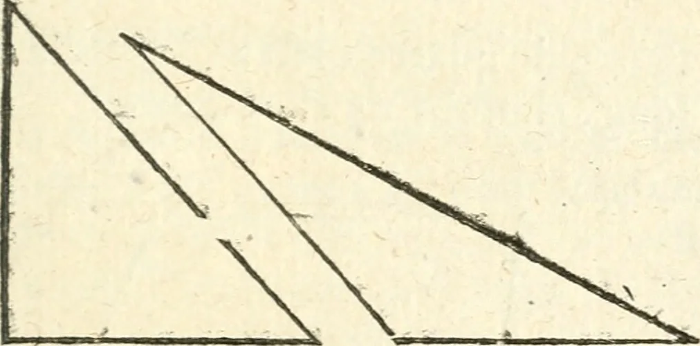 An illustration from L'arithmetiqve en sa perfection mise en pratiqve selon l'vsage des financiers, banqviers et marchands. Contenant vne ample & familiere explication de ses principes, tant en nombres entiers qu'en fractions. Avec vn traité de geometrie pratique appliquée à l'arpentage & au toisé, tant des superficies que des corps solides, et vn abregé d'algebre, suiuy de quantité de questions non moins curieuses que necessaires, 1668, leaf 306
