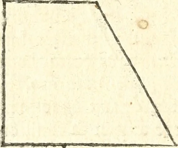 An illustration from L'arithmetiqve en sa perfection mise en pratiqve selon l'vsage des financiers, banqviers et marchands. Contenant vne ample & familiere explication de ses principes, tant en nombres entiers qu'en fractions. Avec vn traité de geometrie pratique appliquée à l'arpentage & au toisé, tant des superficies que des corps solides, et vn abregé d'algebre, suiuy de quantité de questions non moins curieuses que necessaires, 1668, leaf 307