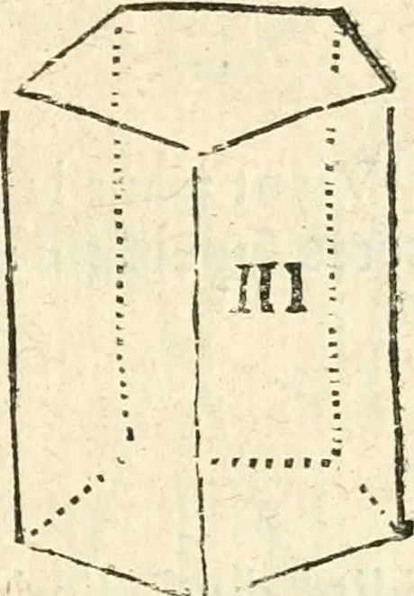 An illustration from L'arithmetiqve en sa perfection mise en pratiqve selon l'vsage des financiers, banqviers et marchands. Contenant vne ample & familiere explication de ses principes, tant en nombres entiers qu'en fractions. Avec vn traité de geometrie pratique appliquée à l'arpentage & au toisé, tant des superficies que des corps solides, et vn abregé d'algebre, suiuy de quantité de questions non moins curieuses que necessaires, 1668, leaf 354