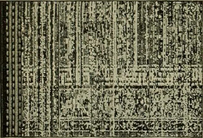 An illustration from Larkin factory-to-family plan, The, 1915, leaf 101