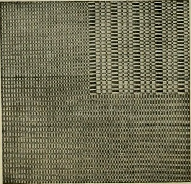 An illustration from Larkin factory-to-family plan, The, 1915, leaf 103