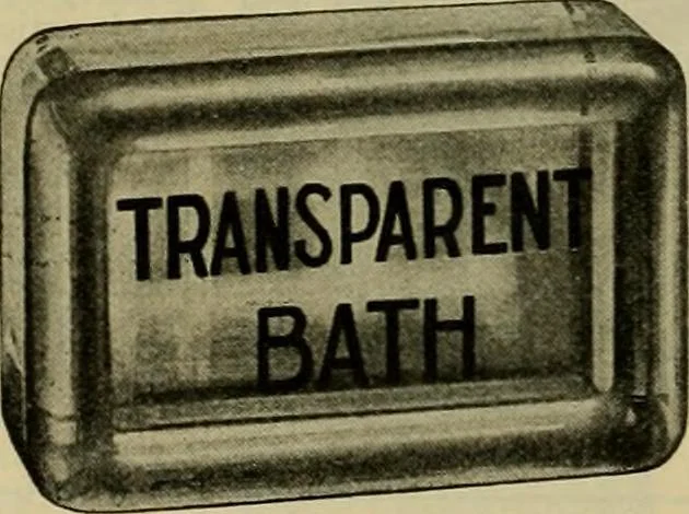 An illustration from Larkin factory-to-family plan, The, 1915, leaf 19