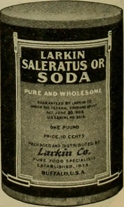 An illustration from Larkin factory-to-family plan, The, 1915, leaf 25