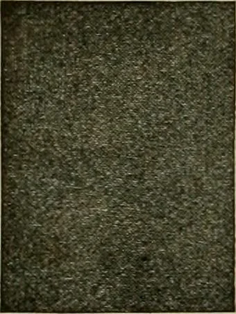 An illustration from Larkin factory-to-family plan, The, 1915, leaf 79