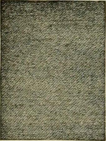 An illustration from Larkin factory-to-family plan, The, 1915, leaf 79