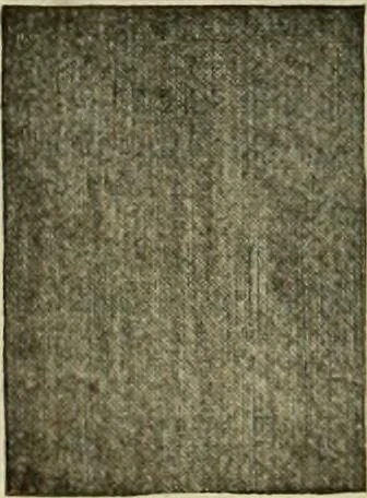 An illustration from Larkin factory-to-family plan, The, 1915, leaf 79