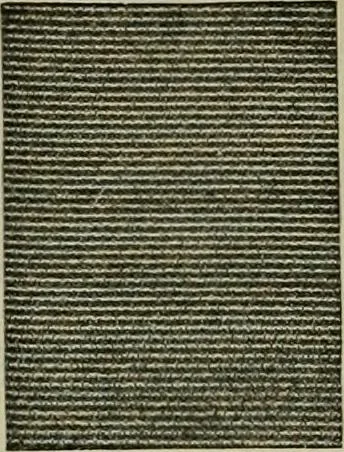An illustration from Larkin factory-to-family plan, The, 1915, leaf 79