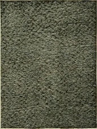 An illustration from Larkin factory-to-family plan, The, 1915, leaf 79