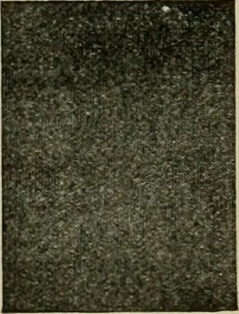 An illustration from Larkin factory-to-family plan, The, 1915, leaf 79