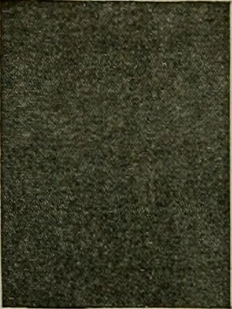 An illustration from Larkin factory-to-family plan, The, 1915, leaf 79