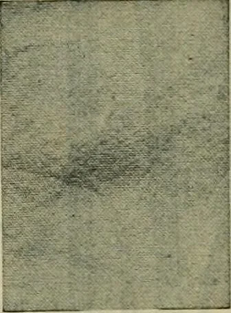 An illustration from Larkin factory-to-family plan, The, 1915, leaf 79