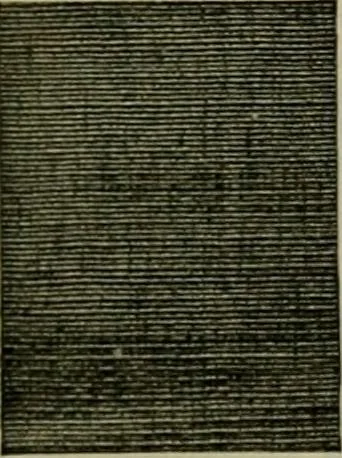 An illustration from Larkin factory-to-family plan, The, 1915, leaf 80