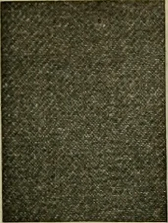 An illustration from Larkin factory-to-family plan, The, 1915, leaf 80
