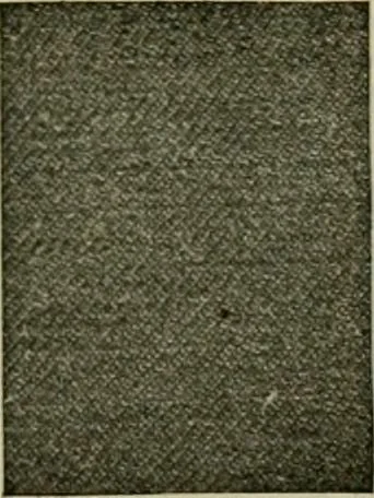 An illustration from Larkin factory-to-family plan, The, 1915, leaf 80