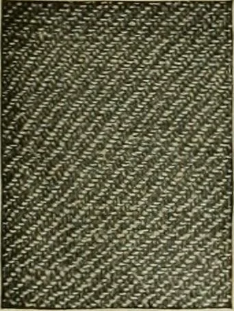 An illustration from Larkin factory-to-family plan, The, 1915, leaf 81