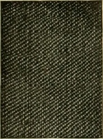 An illustration from Larkin factory-to-family plan, The, 1915, leaf 81