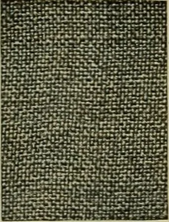 An illustration from Larkin factory-to-family plan, The, 1915, leaf 81