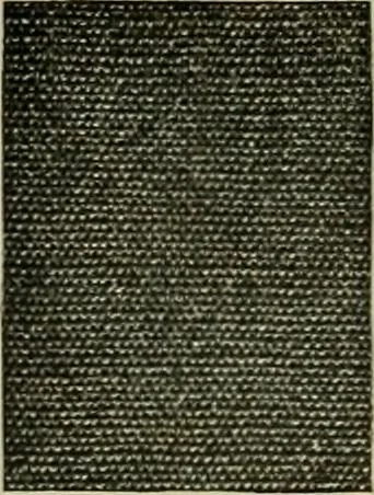 An illustration from Larkin factory-to-family plan, The, 1915, leaf 81